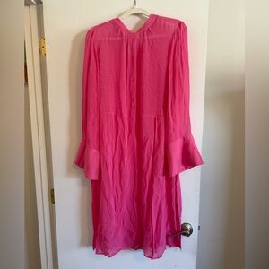 Anthropologie Pink Long Sleeve sheer Dress